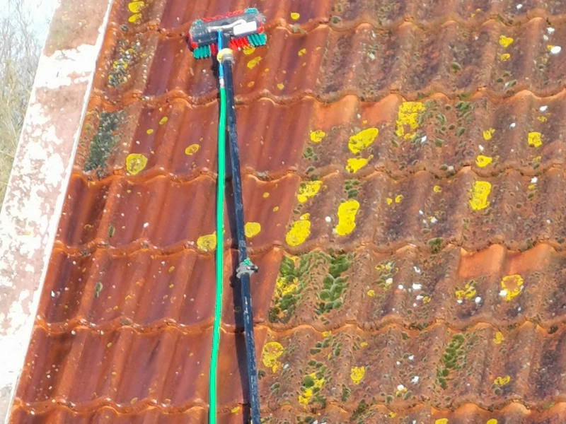 dakpannen schoonmaken